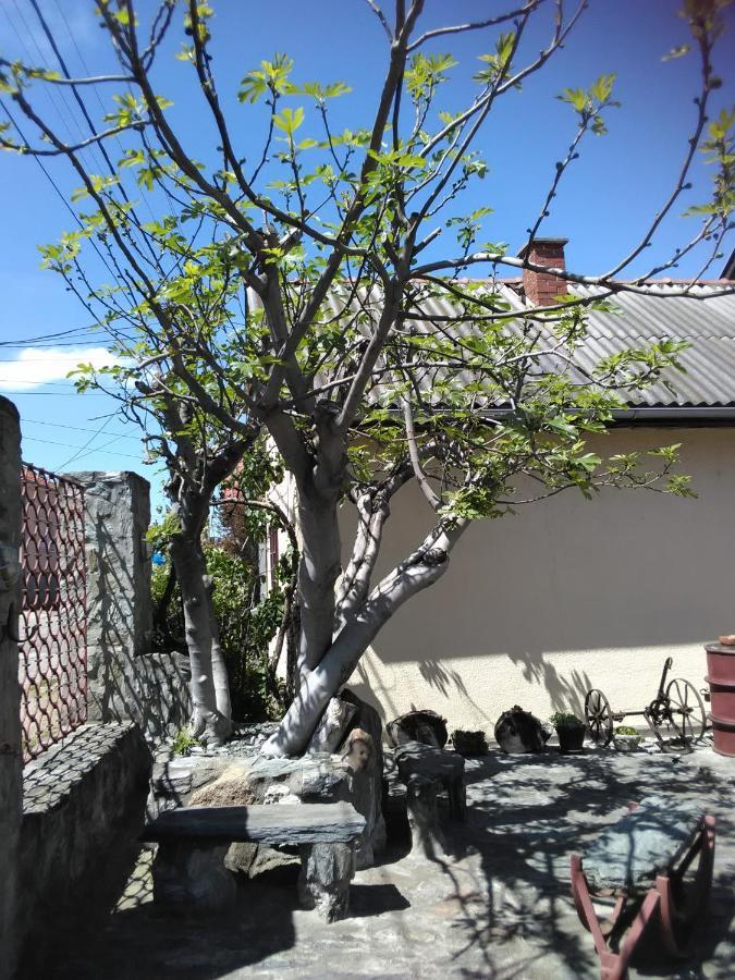 Apartmani Pinkum Veliko Gradiste Luaran gambar